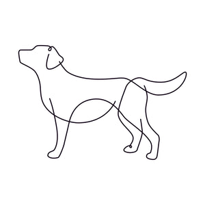 Labrador Retriever - Luxe Shopper
